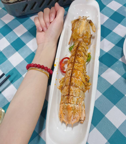 jumbo Mantis Shrimp Live Seafood Shipped with Oxygen Packs photo review